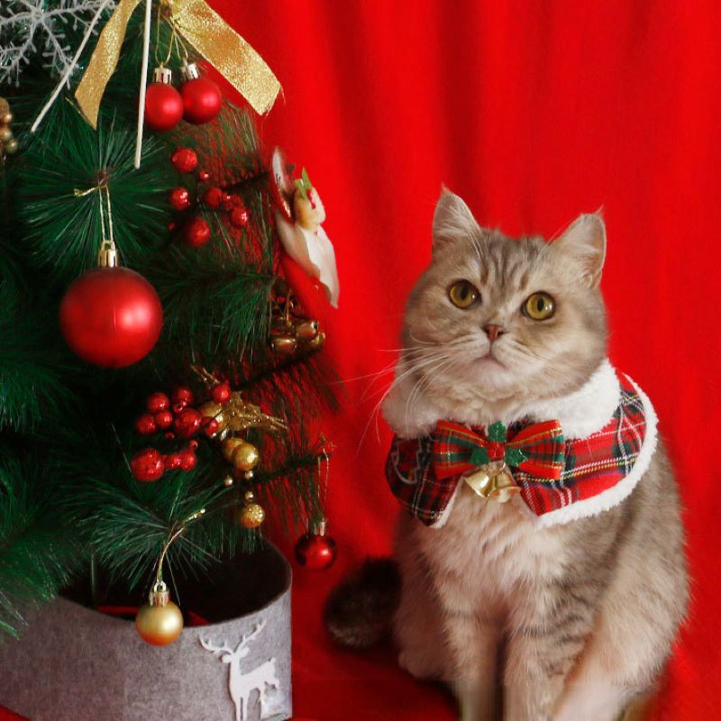 Winter Clothing For Dogs - Katze Weihnachten Mantel Haustier Neujahr Cape