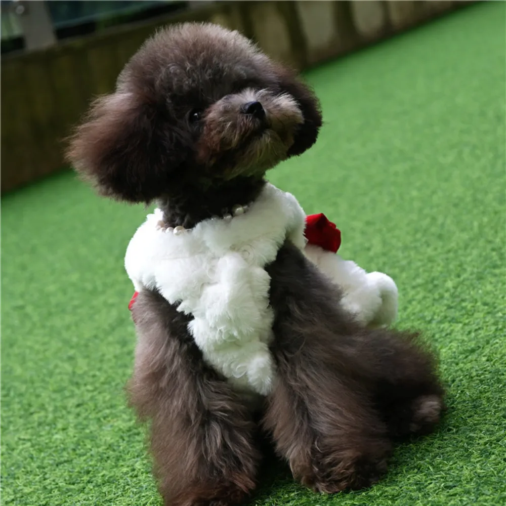 Winter Clothing For Dogs - Haustier Kaninchen Fell Kleid Kleidung Nette