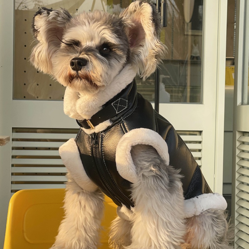 Winter Clothing For Dogs - Haustier Herbst Winter Samt Ärmellose Weste