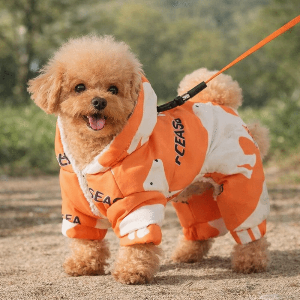 Winter Clothing For Dogs - Niedliche warme Hunde-Winterkleidung, Anti-Shedding, dicke Haustier-Outdoor-Kleidung,