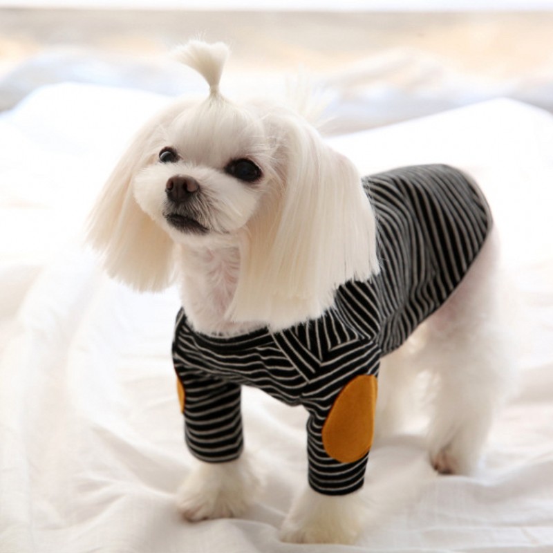Dünne Haustier Hund Hoodies Fl – Winter Clothing For Dogs Bewertung und Preis