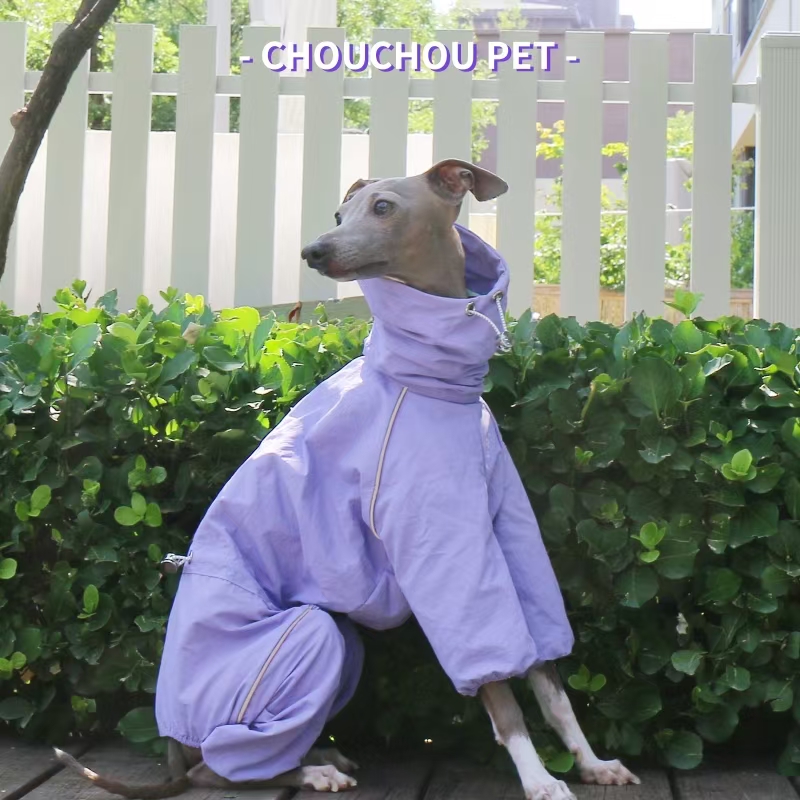 Italienischer Windhund-Regenma – Winter Clothing For Dogs Bewertung und Preis