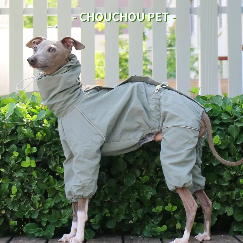 Italienischer Windhund-Regenma – Winter Clothing For Dogs Bewertung und Preis
