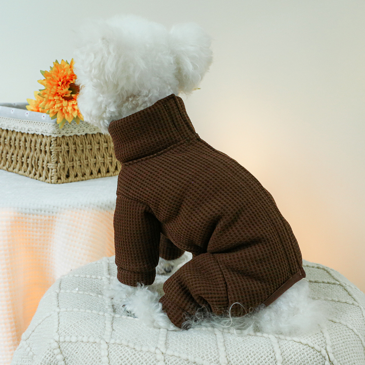 Winter kostüme für Hunde Herbs – Winter Clothing For Dogs Bewertung und Preis