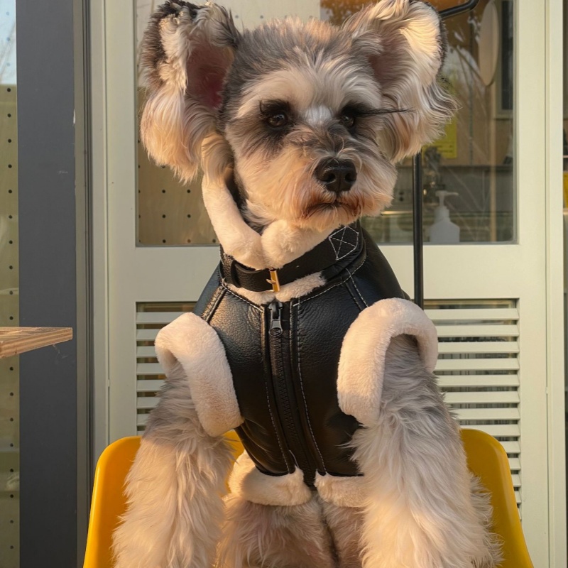 Haustier Herbst Winter Samt Är – Winter Clothing For Dogs Bewertung und Preis