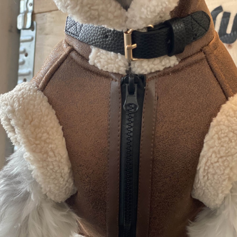 Haustier Herbst Winter Samt Är – Winter Clothing For Dogs Bewertung und Preis