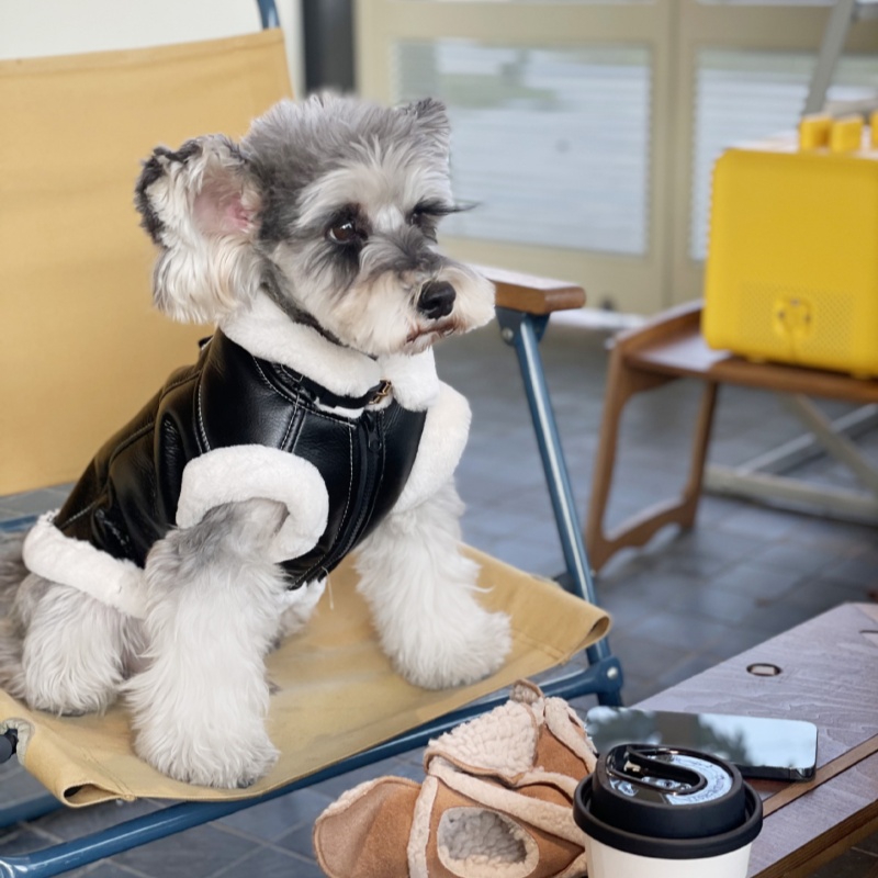 Haustier Herbst Winter Samt Är – Winter Clothing For Dogs Bewertung und Preis