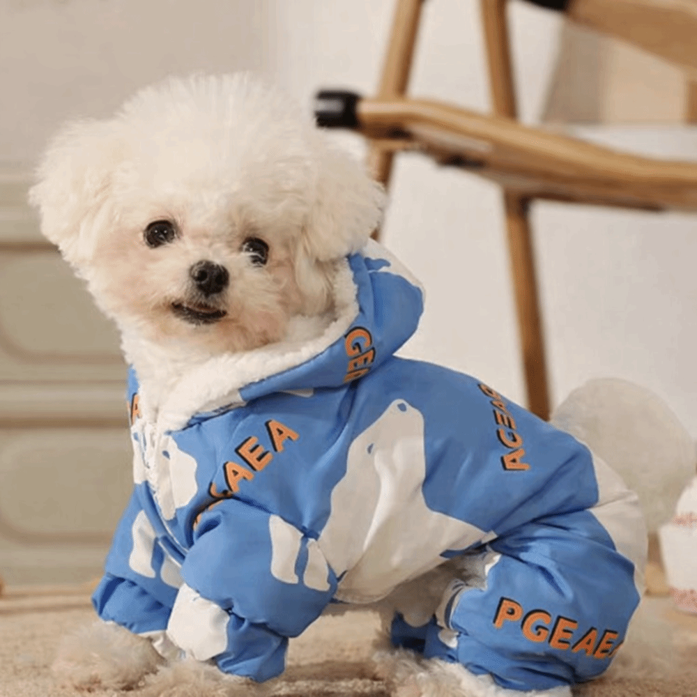 Niedliche warme Hunde-Winterkl – Winter Clothing For Dogs Bewertung und Preis