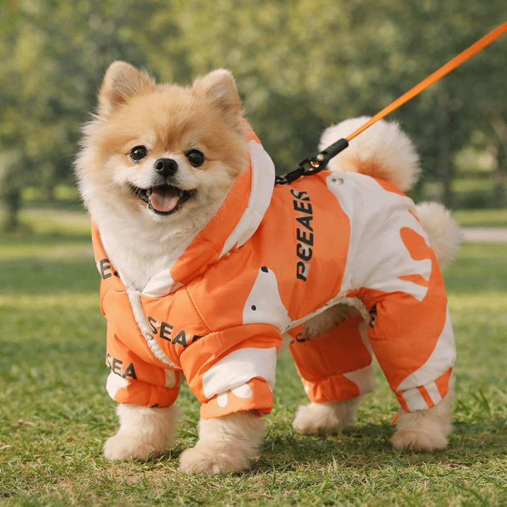 Niedliche warme Hunde-Winterkl – Winter Clothing For Dogs Bewertung und Preis
